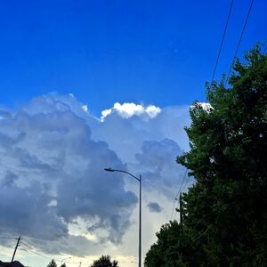 Meet your Posher, Krystal